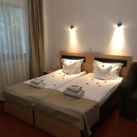 Flora Alpina Hotel Azuga Bagian luar foto