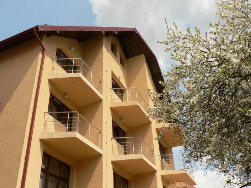 Flora Alpina Hotel Azuga Bagian luar foto