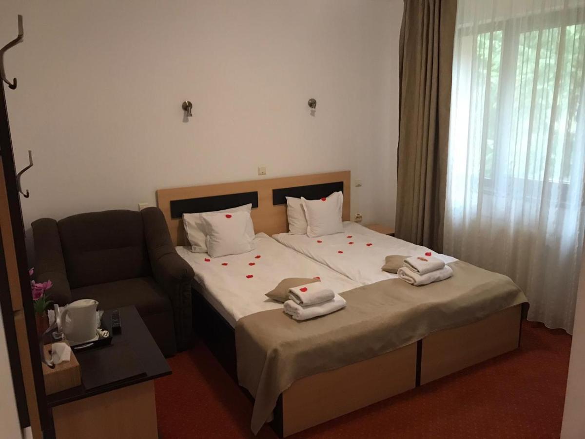 Flora Alpina Hotel Azuga Bagian luar foto